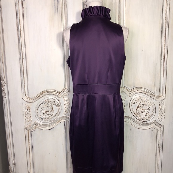 Just Taylor Gorgeous Purple Sleeveless Ruffle V Neck Waisted Party Dress Size 12 - Picture 6 of 10